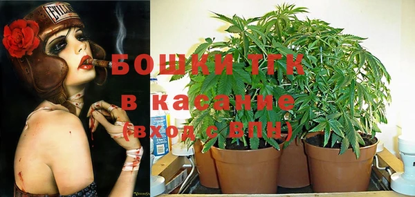 гидра Киренск
