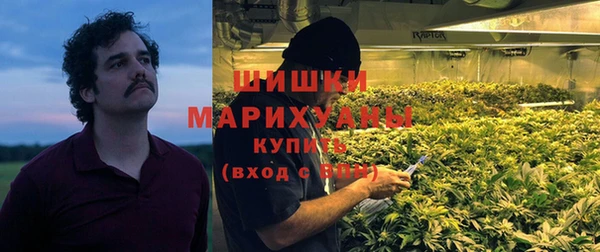 гидра Киренск