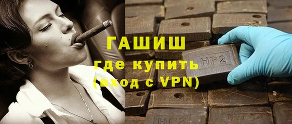 стафф Касимов