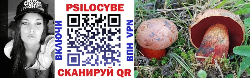 Псилоцибиновые грибы прущие грибы  дарнет шоп  Сычёвка 